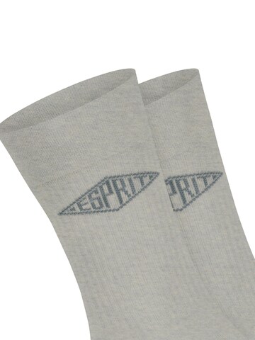 ESPRIT Socks 'Unisex Logo 2-Pack' in Grey