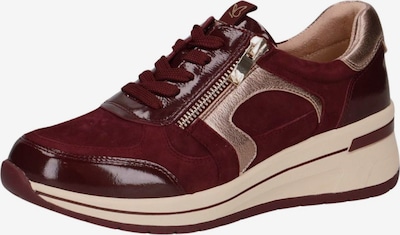 CAPRICE Sneaker in rosegold / bordeaux, Produktansicht