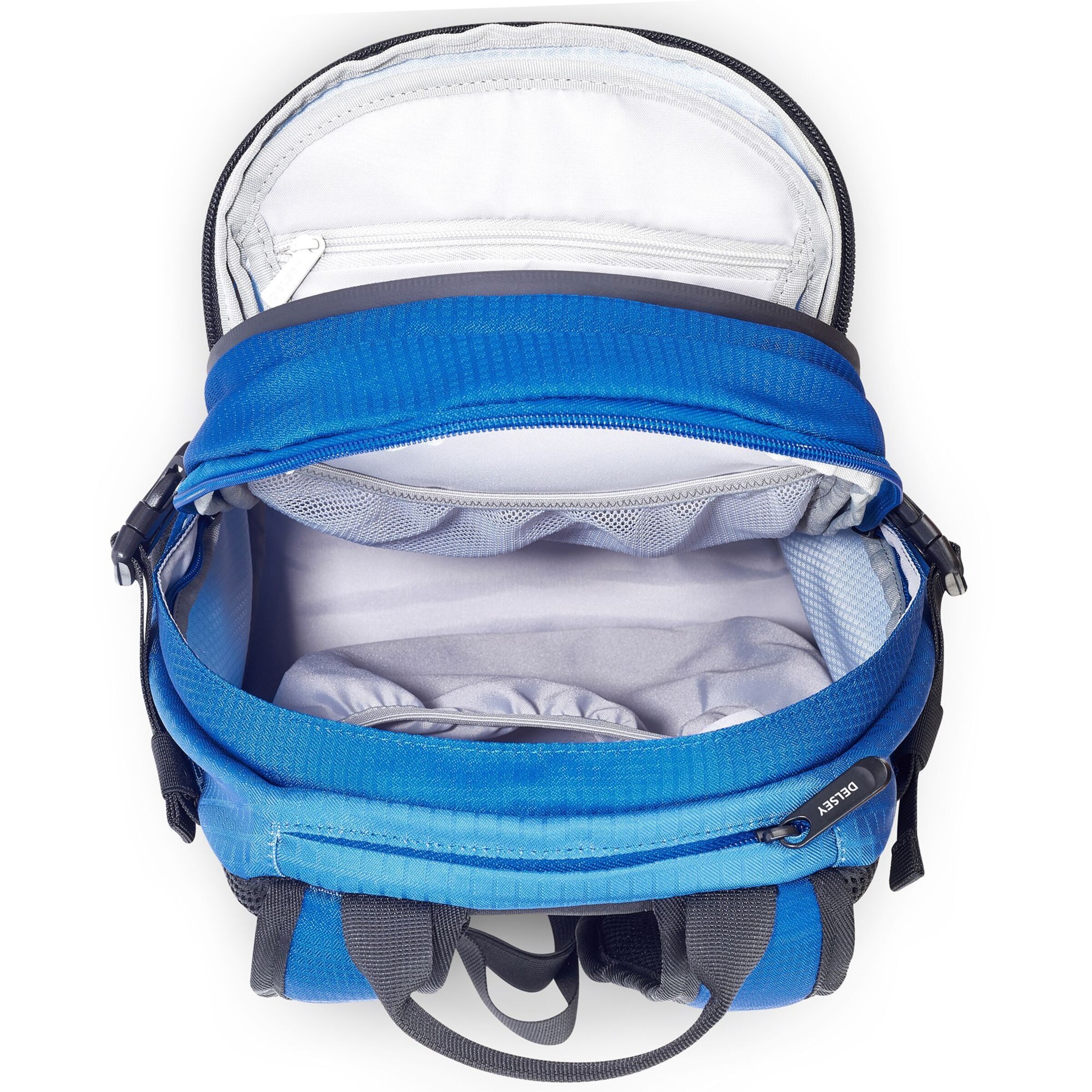 Delsey Paris Backpack in Blue