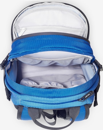 Delsey Paris Rugzak in Blauw