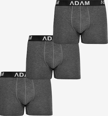 Adam Boxer shorts '3er Pack' in Grey: front