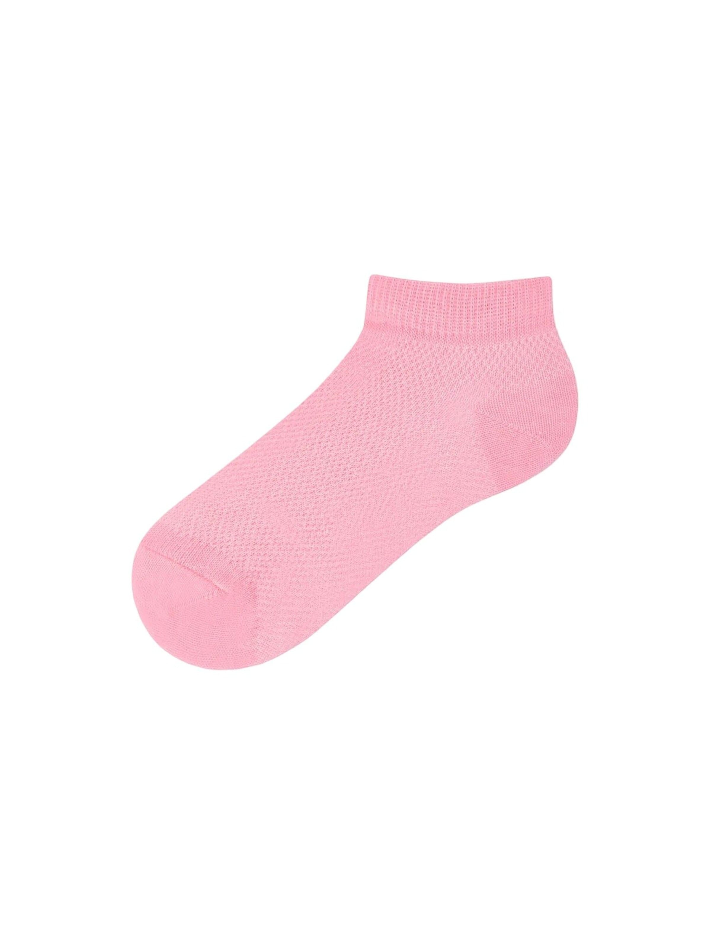 Penti Socken 'PENTI Basic 4er-Pack No-Show-Socken'‌‌ in Mischfarben