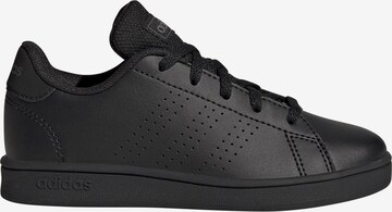 ADIDAS ORIGINALS Sneakers 'Advantage' in Black