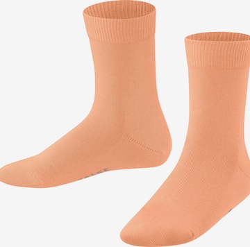 FALKE Socks in Orange: front