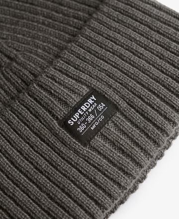 Superdry Muts in Grijs