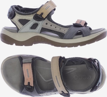 ECCO Sandalen 36 in Grau: predná strana