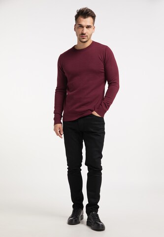 RAIDO Sweater in Red