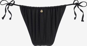 LASCANA Bikini Bottoms in Black: front