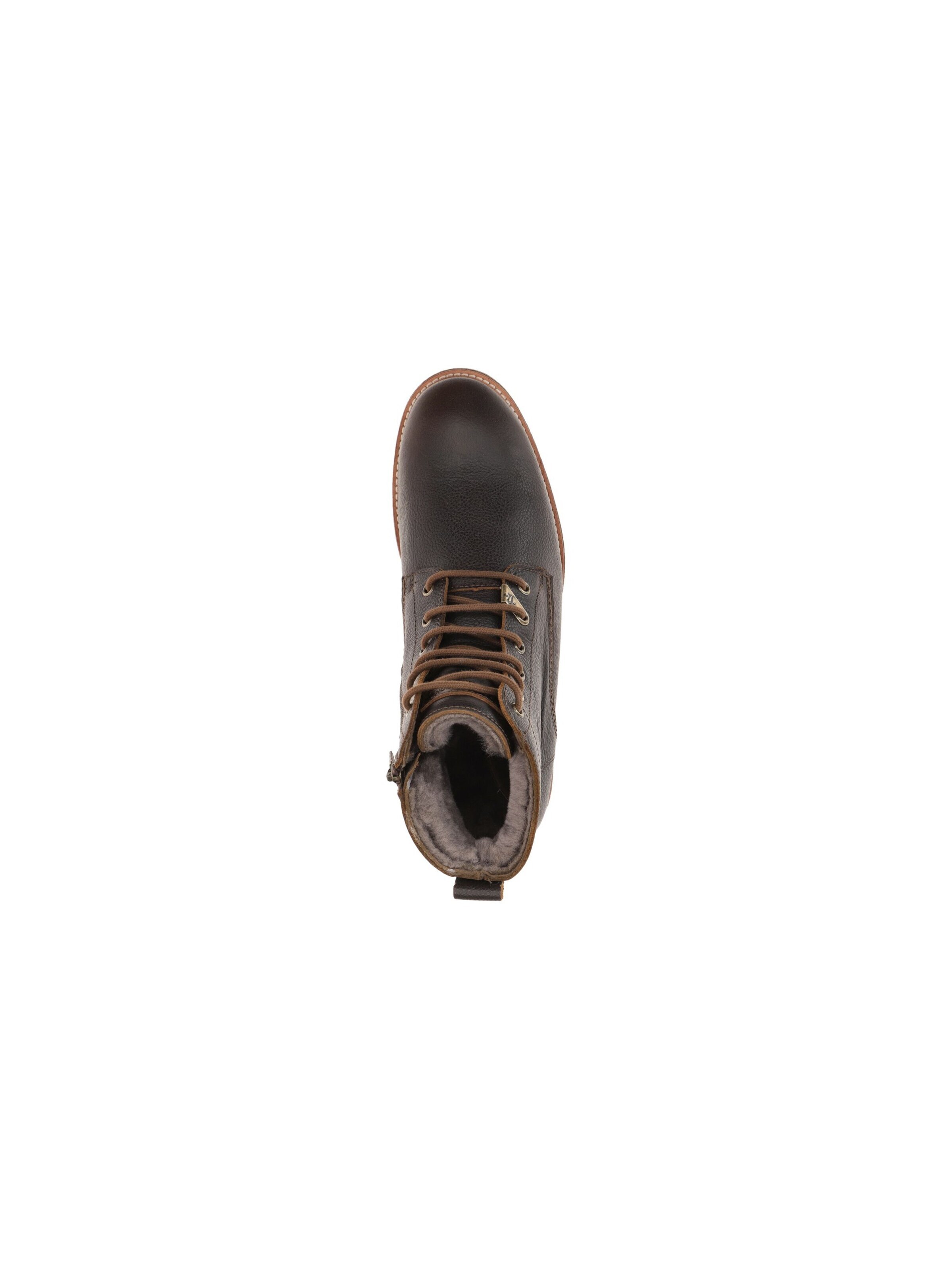 PANAMA JACK Boots in Brown