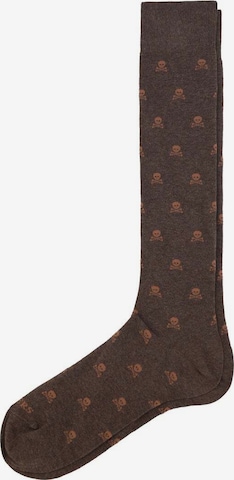 Scalpers Socken in Braun: predná strana