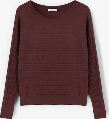 Pull-over MOTIVI en marron : devant