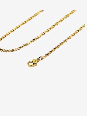 Heideman Necklace in Gold