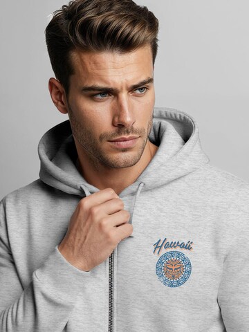 Neverless Zip-Up Hoodie 'Maui' in Grey