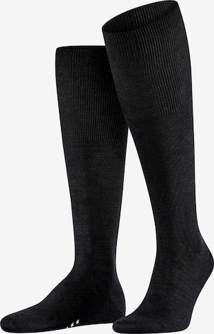 FALKE Knee High Socks 'Airport' in Black: front