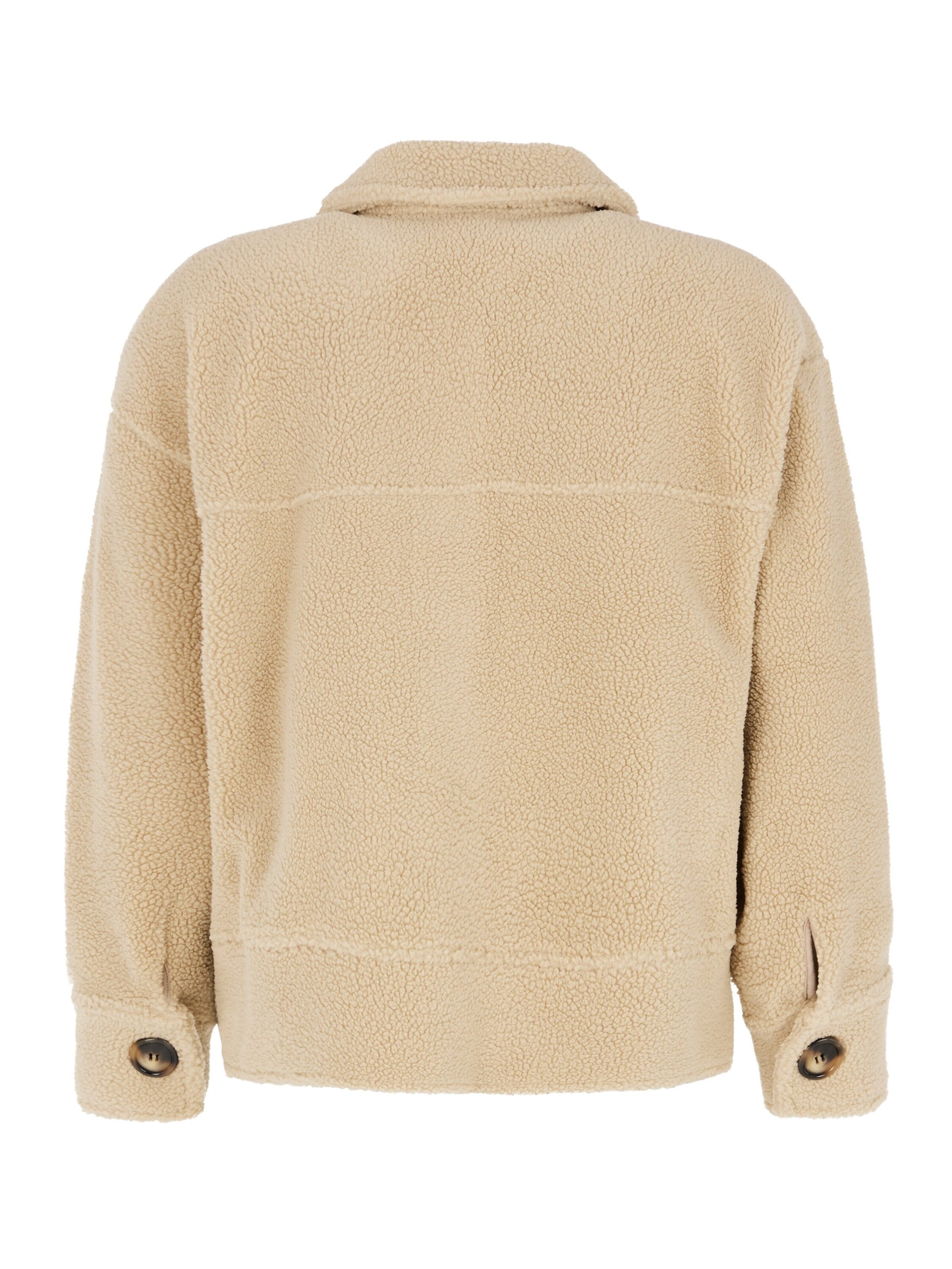 PROTEST Winter Jacket 'PRTBOND' in Brown