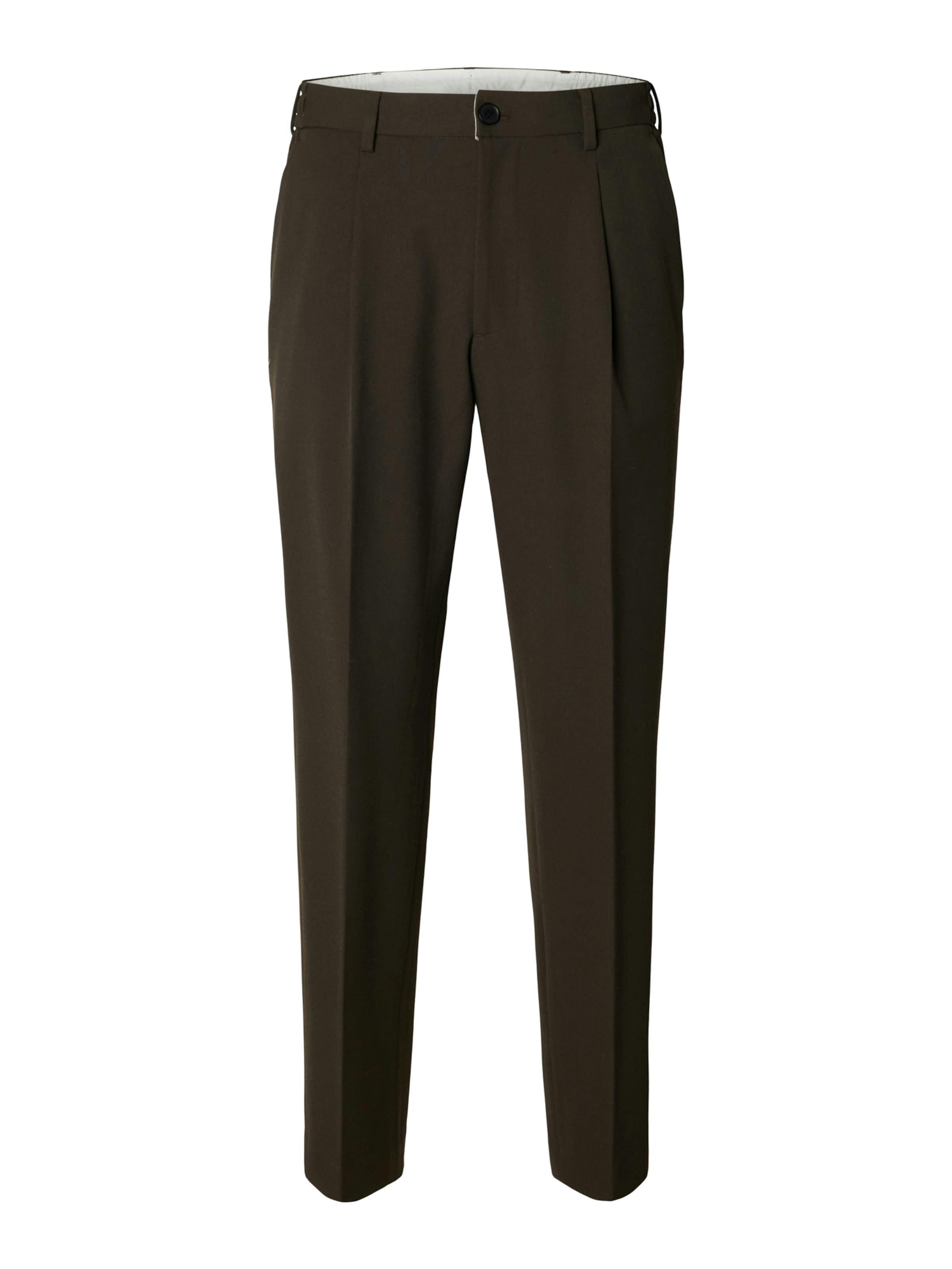 SELECTED Regular Pleat-front trousers 'SLMFINN' in Brown: front