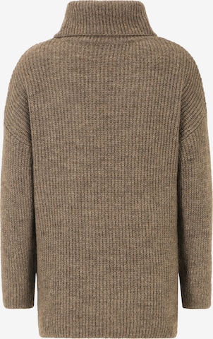 Cartoon Sweater in Brown