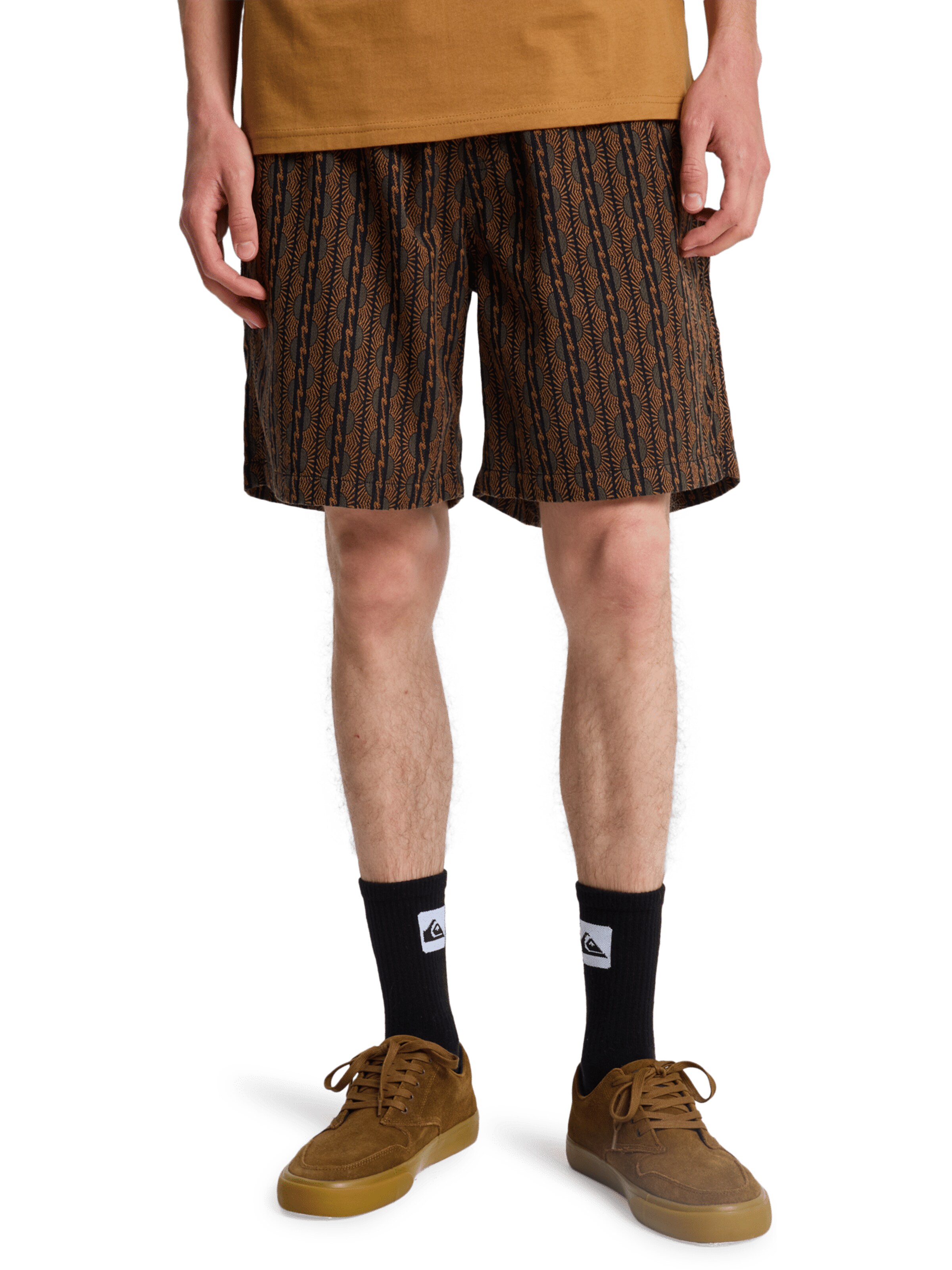 QUIKSILVER Regular Pants in Brown: front