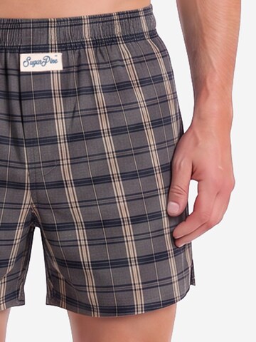Sugar Pine Boxer ' Mix Karos ' in Blau