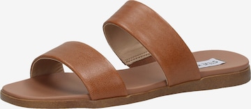 STEVE MADDEN Mules in Brown: front