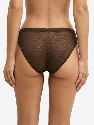 Marc O'Polo Panty ' Classic ' in Brown