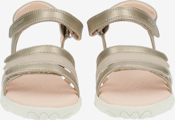 GEOX Sandals in Gold