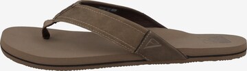 REEF T-Bar Sandals 'Newport' in Brown