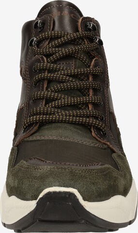 IGI&CO Sneakers in Brown