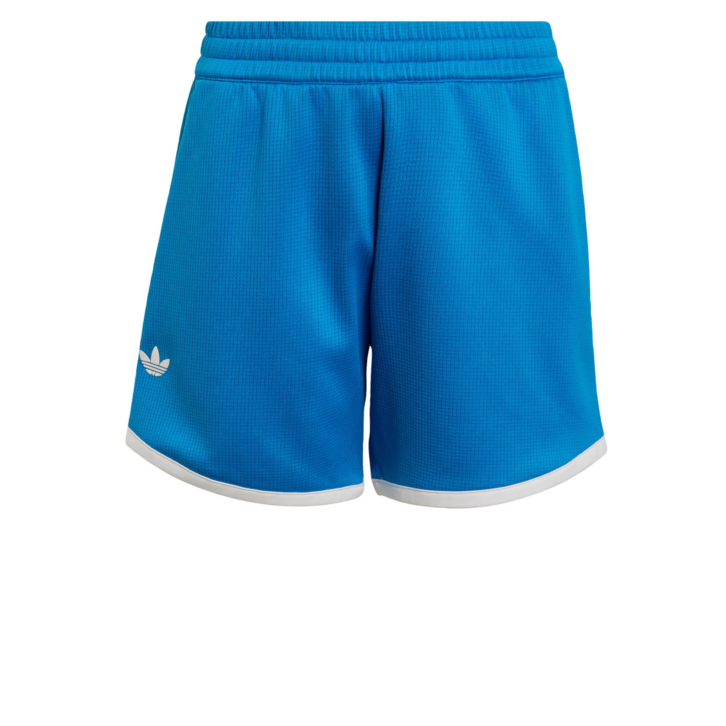 regular Pantaloni sportivi 'Classics' di ADIDAS PERFORMANCE in blu: frontale