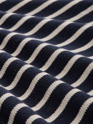 TOM TAILOR DENIM Trui in Blauw
