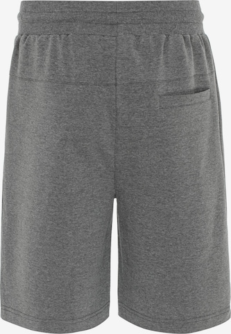 Redbridge Regular Pants 'Wigan' in Grey