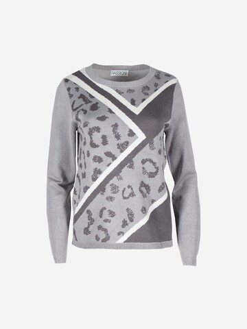 Passioni Sweater in Grey: front
