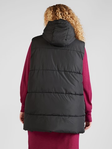 Gilet 'Charis' di ABOUT YOU Curvy in nero