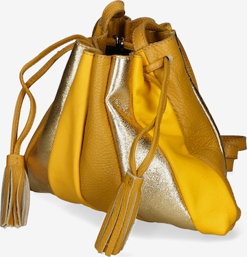 Gave Lux Buideltas in Geel: voorkant