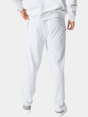 TEESHOPPEN Tapered Pants in Grey