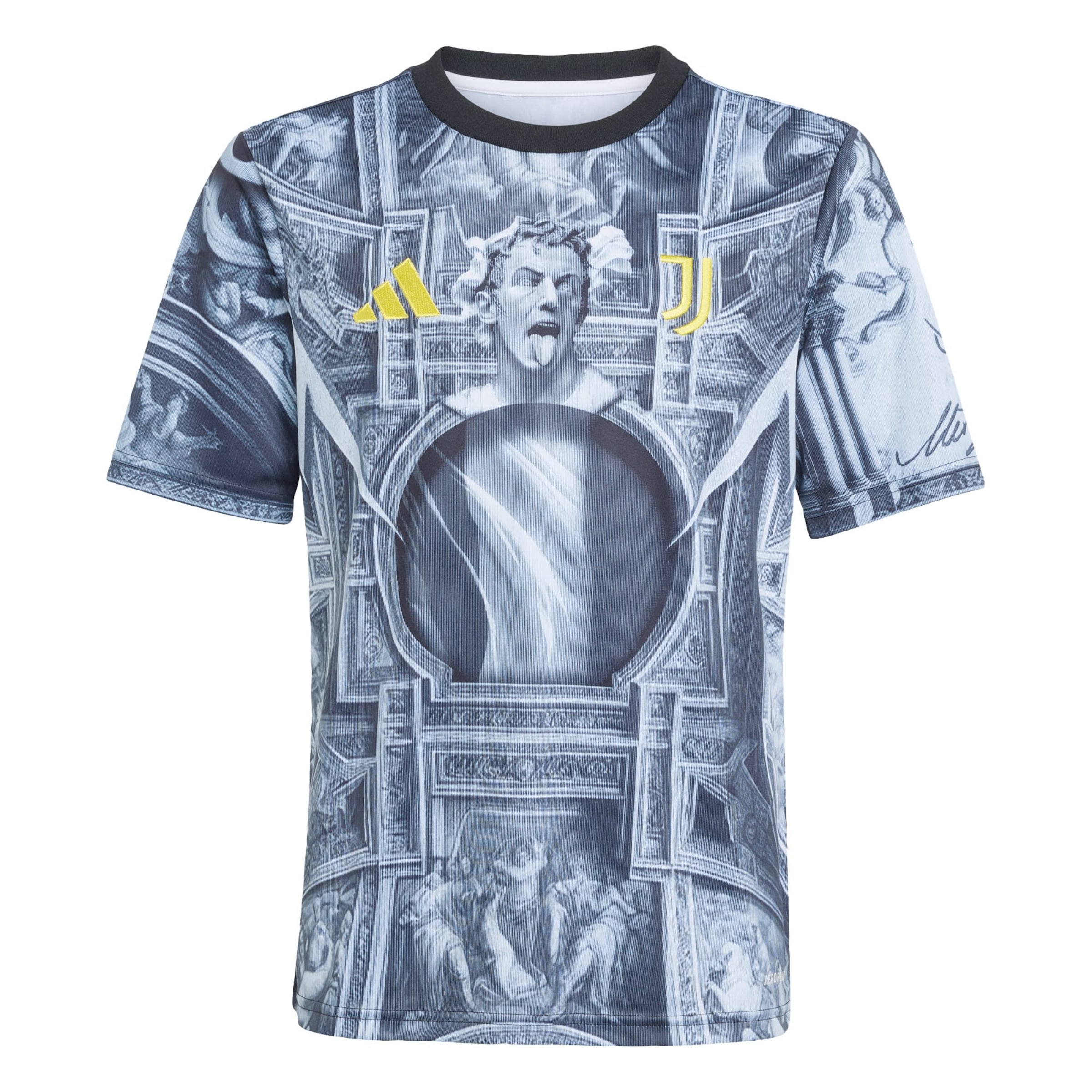 ADIDAS PERFORMANCE - Camiseta funcional 'Juventus Turin 25/26' en gris: frente