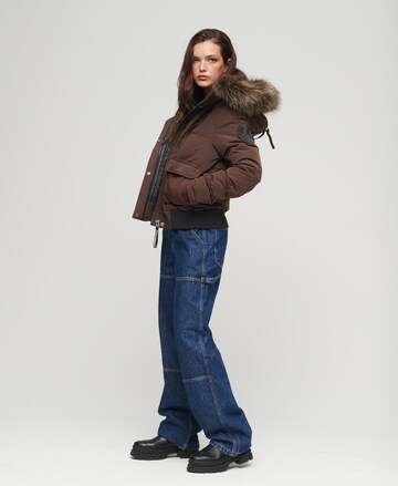 Veste d’hiver Superdry en marron