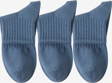 Millo Socken 'Everyday Teens' in Blau: Vorderseite