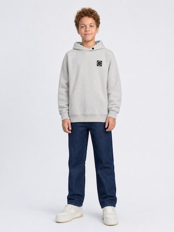 Petrol Industries Sweatshirt in Grey