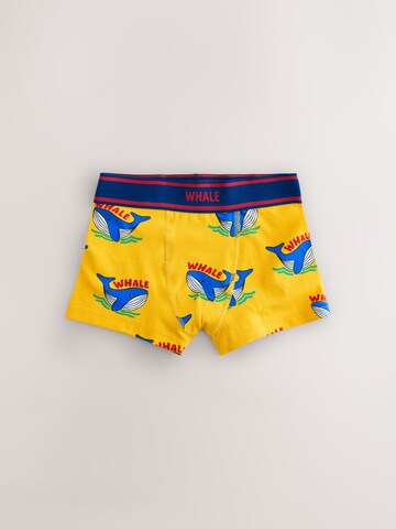 Pantaloncini intimi di Next in blu