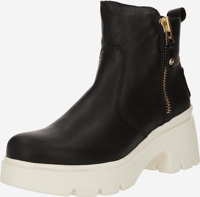 PANAMA JACK Nilkkurit 'Phuket B1' värissä musta, Tuotenäkymä