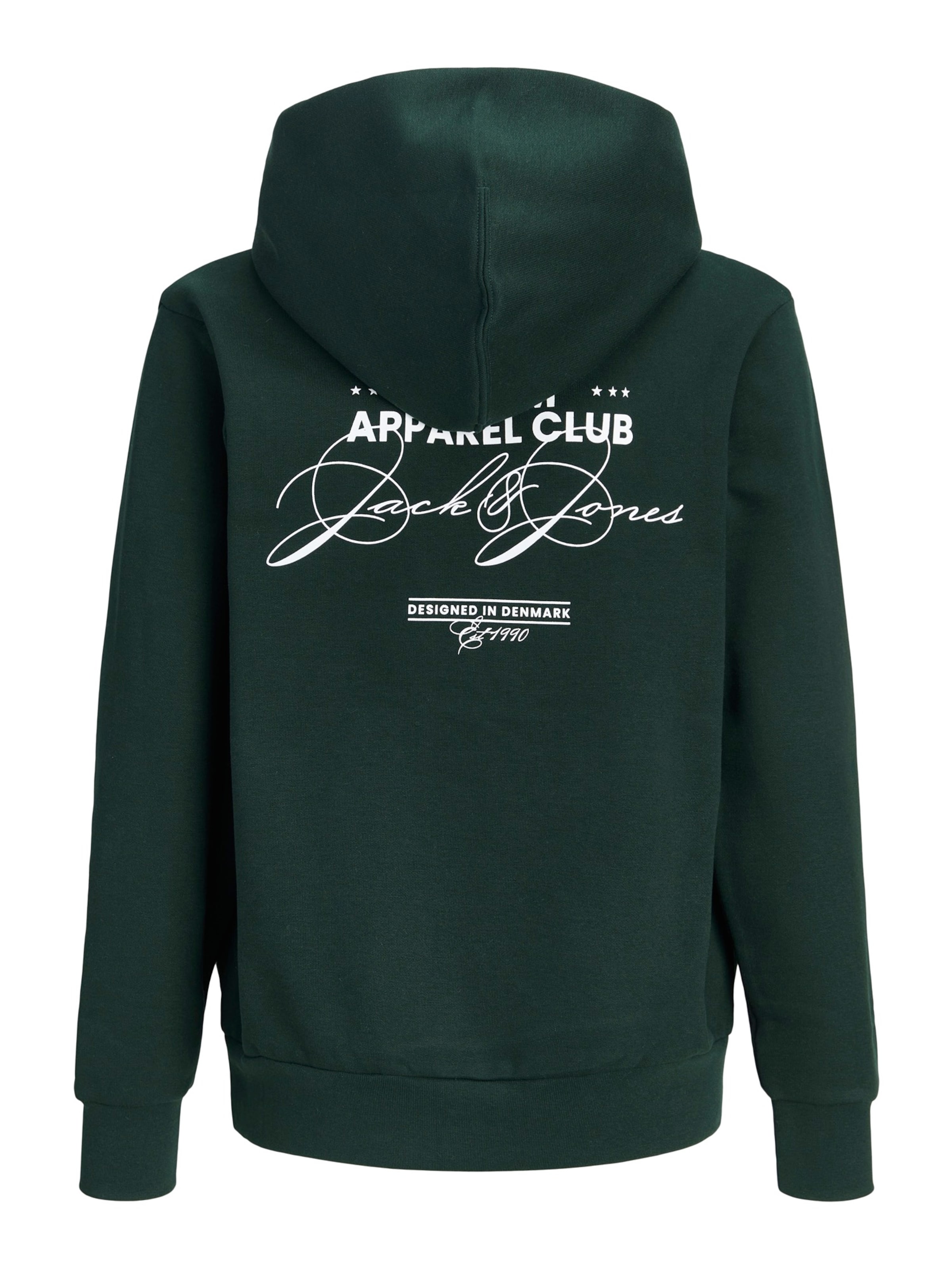 Jack & Jones Junior Mikina 'JJBAY' - Zelená