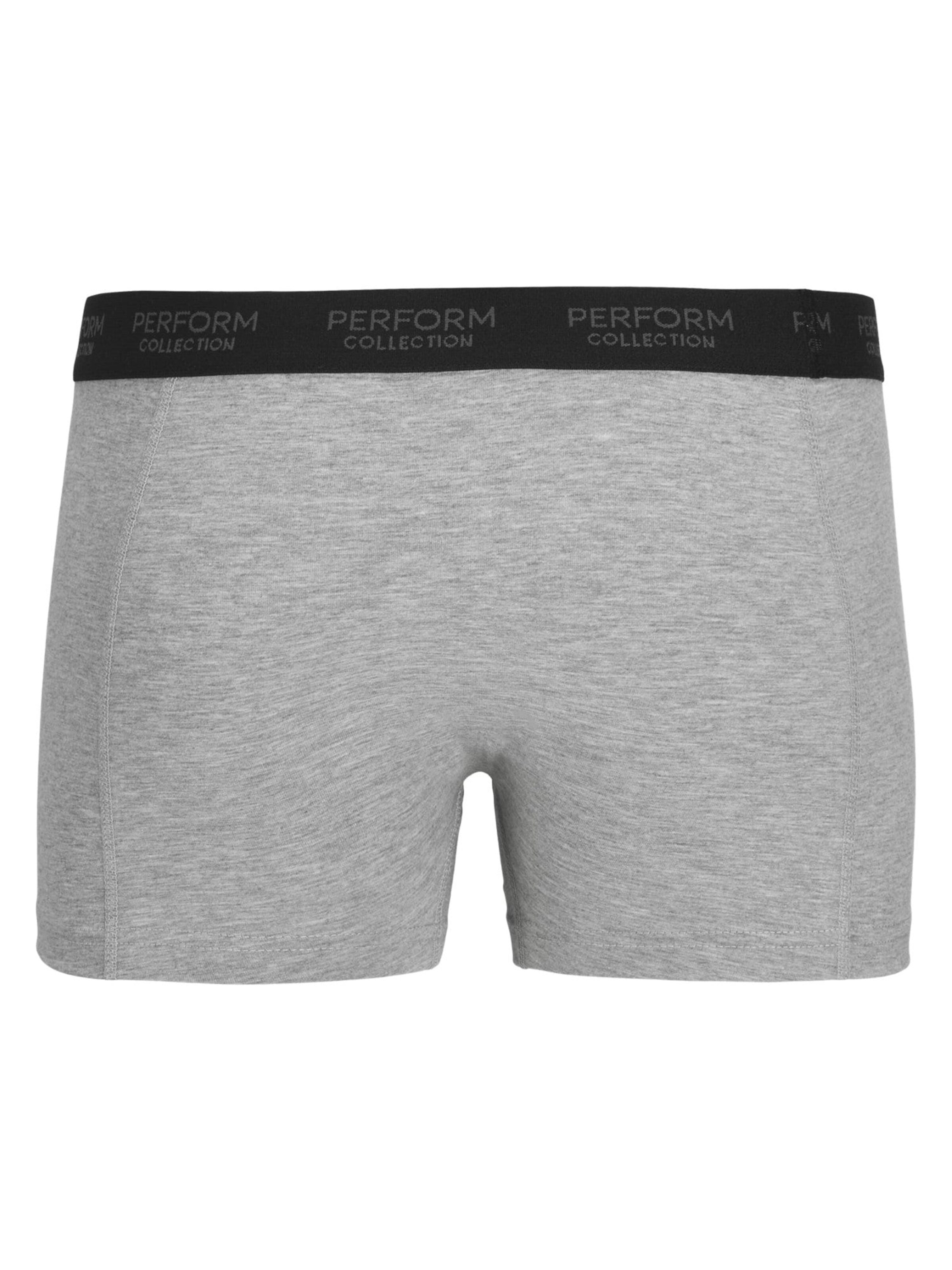 TEESHOPPEN Boxer shorts in Grey