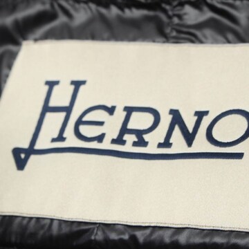 Herno Jacket & Coat in M in Black