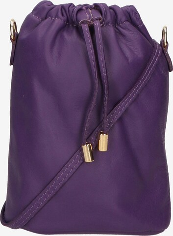 Gave Lux Pouch in Purple: front