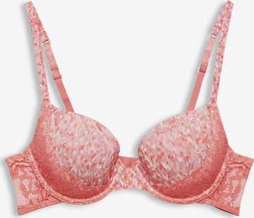 ESPRIT Push-up BH in Rot: predná strana