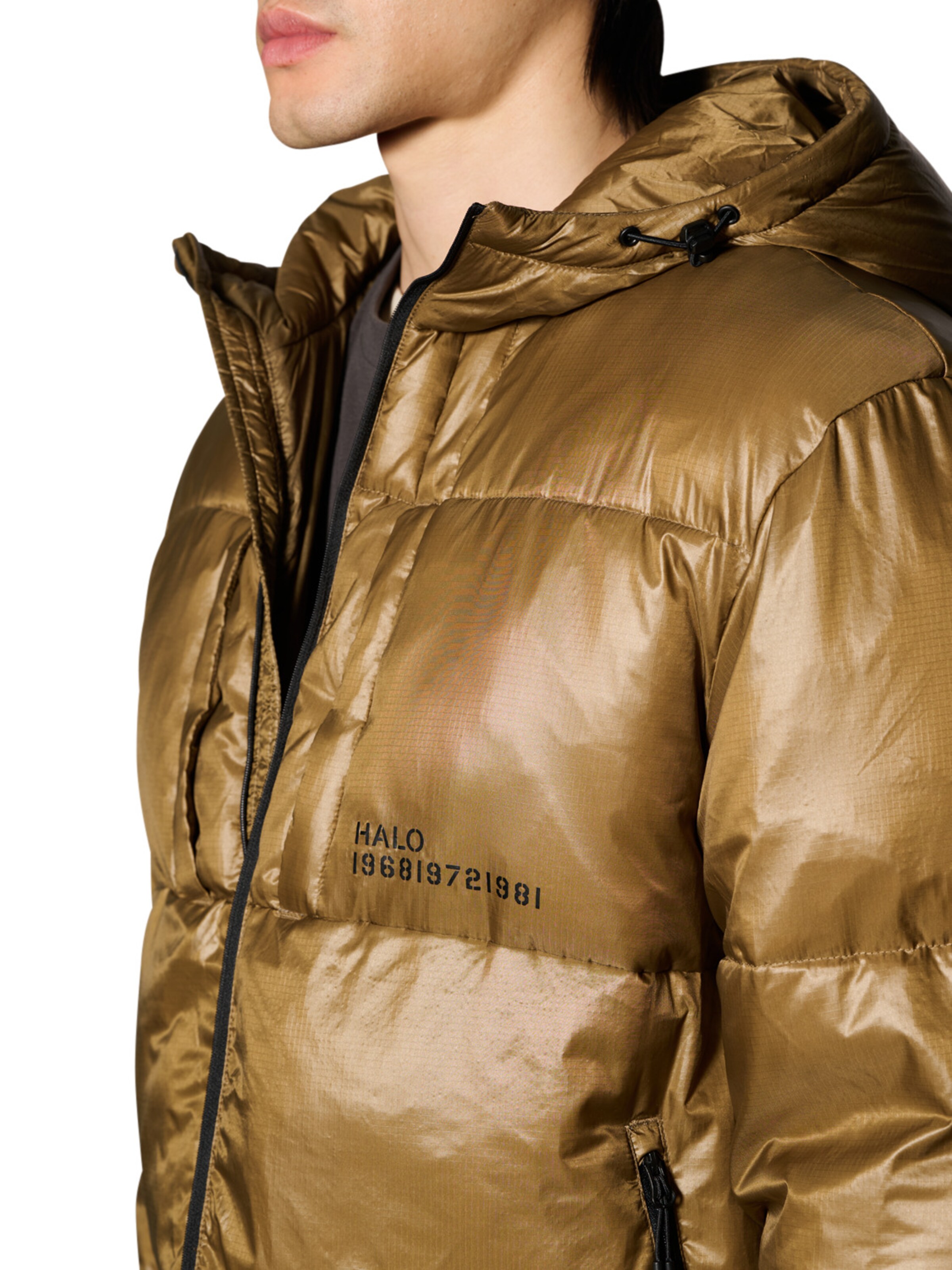 HALO Winterjas 'Trooper' in Bruin