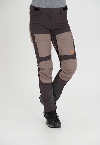 Whistler Regular Outdoor Pants 'ANISSY W' in Brown: front