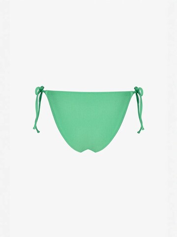 Slip bikini 'Bikinihosen' di Penti in verde
