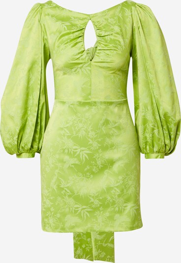Laagam Kleid 'Vogel' in schilf / pastellgrün, Produktansicht